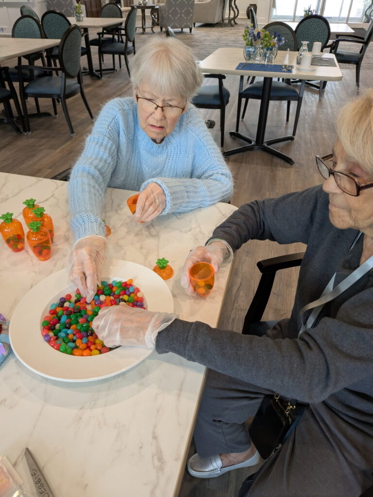 Afternoon Senior Care: The Oasis of Plainfield