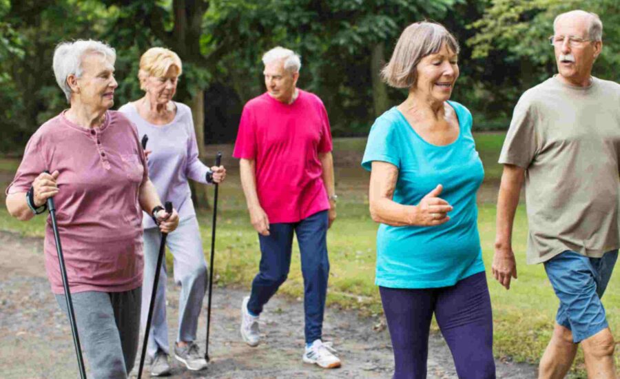 Senior summer walks in Clarkston & Pontiac Michigan