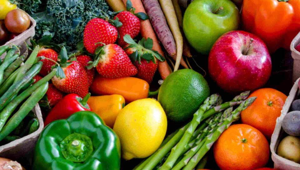Anti-Inflammatory Diets Restore Senior Mobility and Vitality