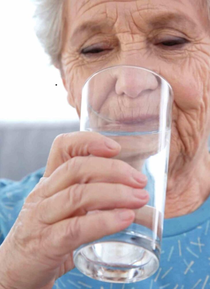 Senior Vitality in Michigan