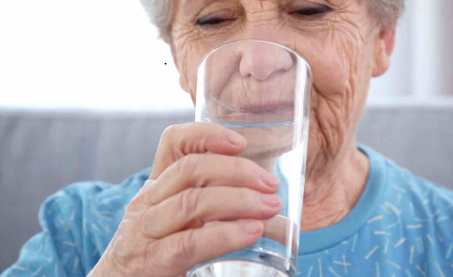 Senior Vitality in Michigan