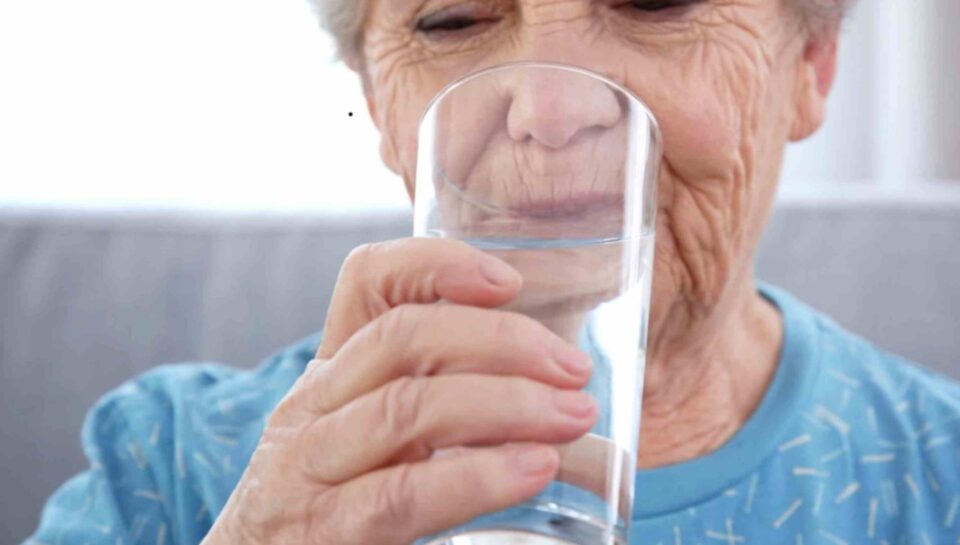 Senior Vitality in Michigan