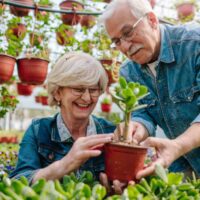 Senior Gardening Horticultural therapy