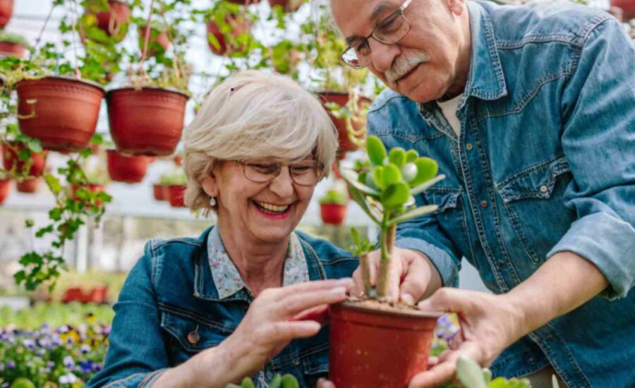 Senior Gardening Horticultural therapy