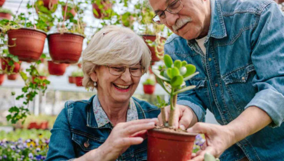 Senior Gardening Horticultural therapy