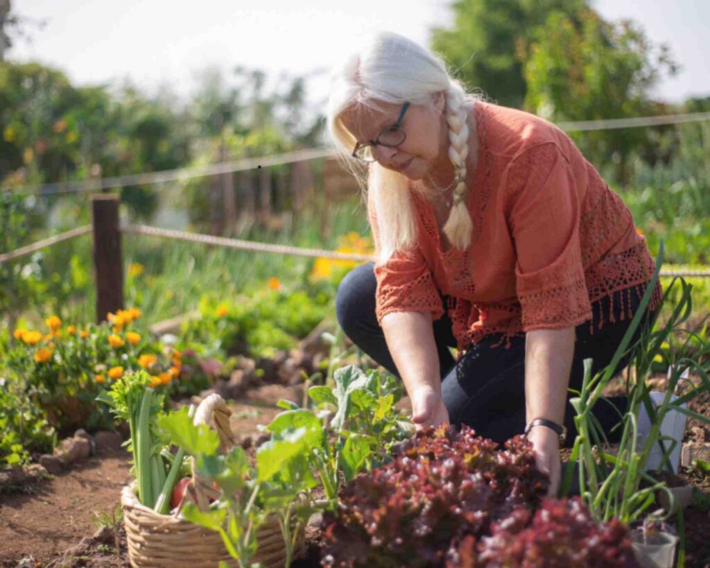 Senior Gardening effects for geriatrics