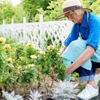 Gardening for Plainfield Seniors