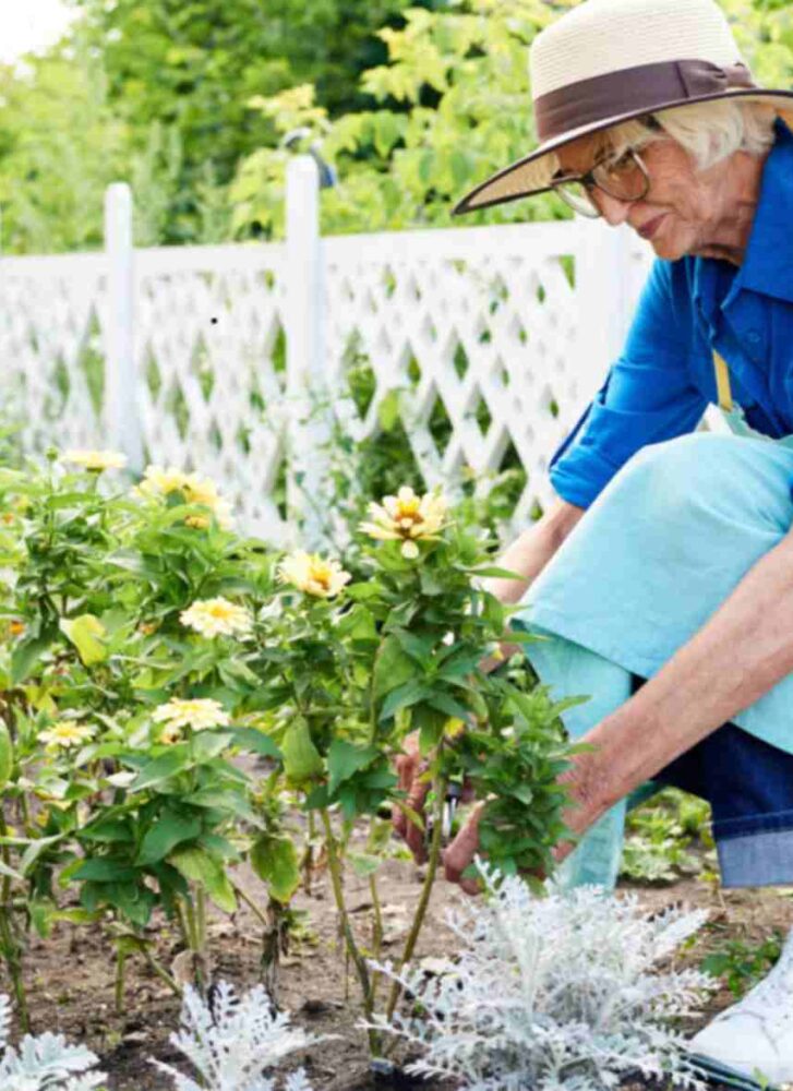 Gardening for Plainfield Seniors