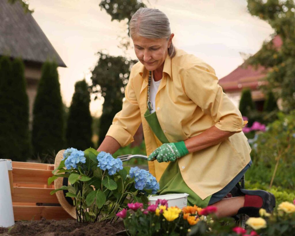 Gardening for Plainfield Seniors for Dexterity and Coordination